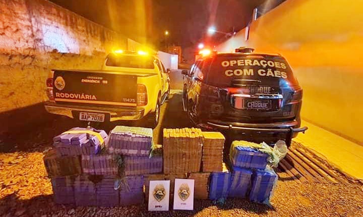  Polícia Rodoviária e canil do 16º BPM apreendem mais de 200 quilos de maconha em Manoel Ribas