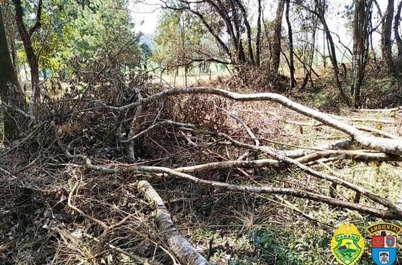  Em Boa Ventura de São Roque – Dono de propriedade é multado em quase R$ 200 mil por destruir vegetação nativa
